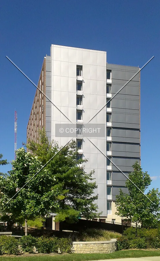View from the south