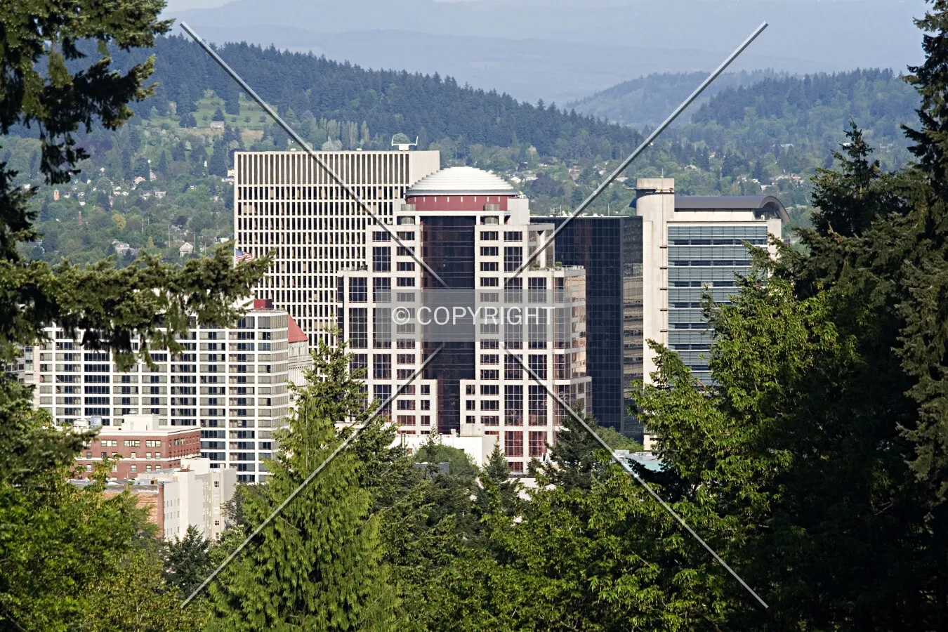 As seen from Washington Park