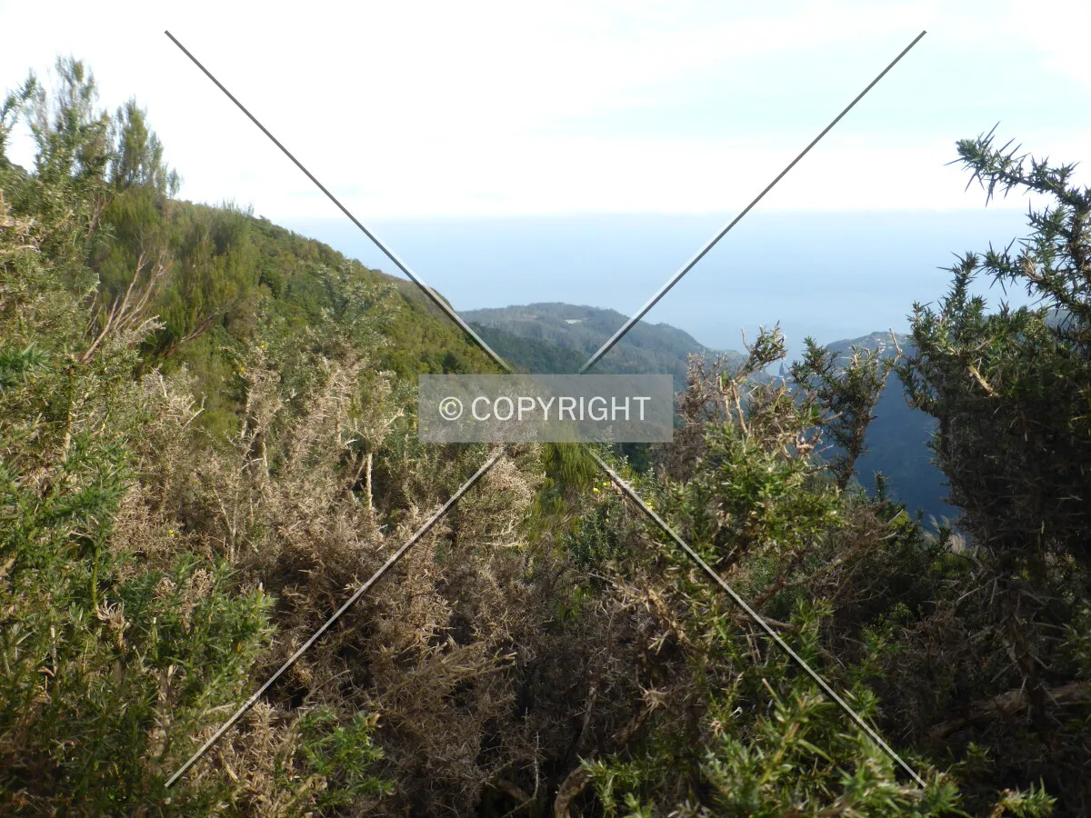 Photo 990-879-591
