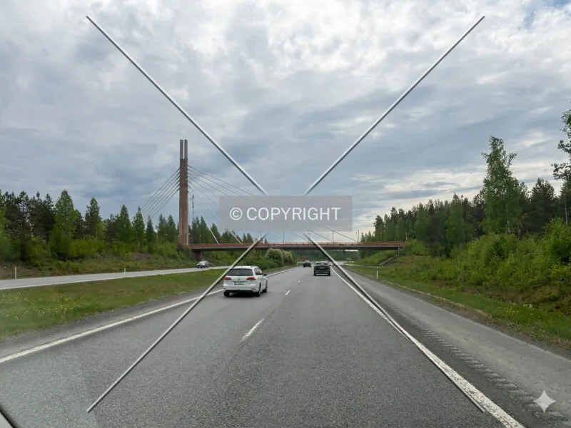 Photo 991-423-765