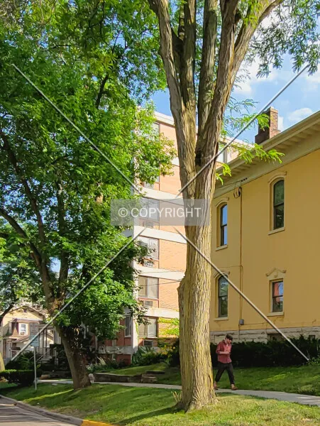 Photo 099-181-573