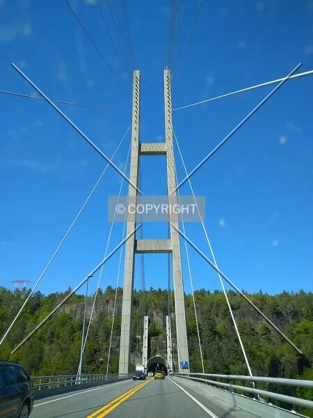 Photo 991-933-890