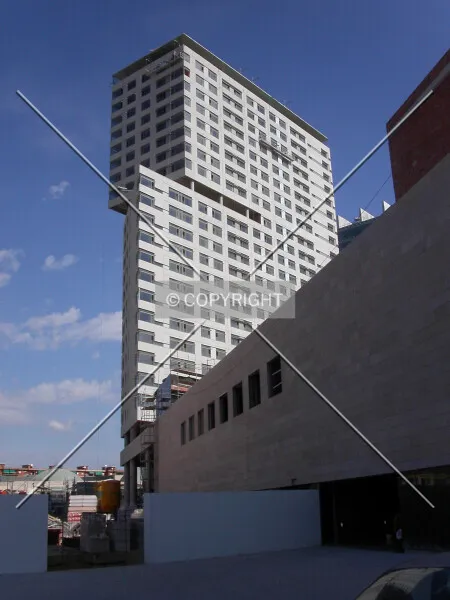 992-310-081