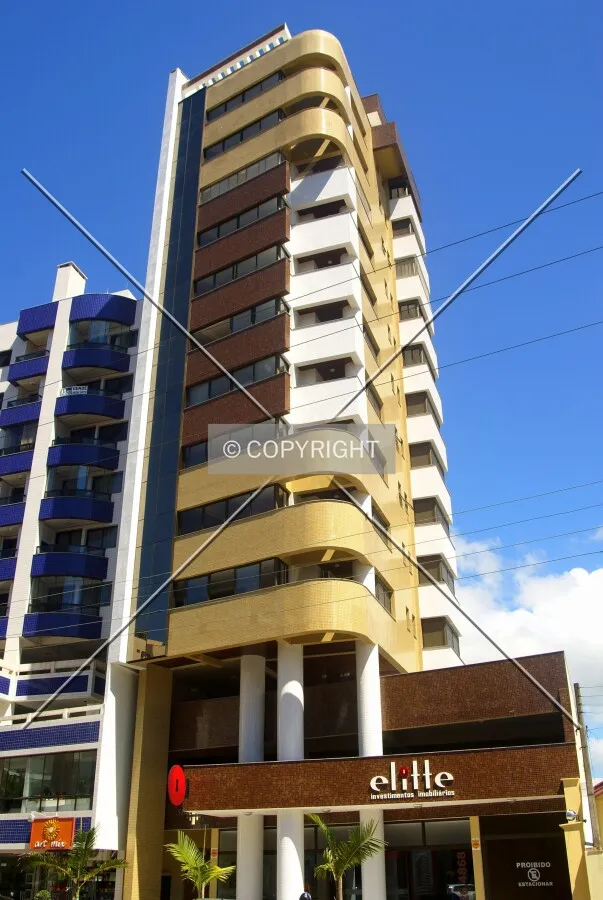 Looking up from across Silva Jardim Avenue