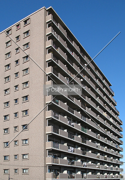 Photo 099-273-698