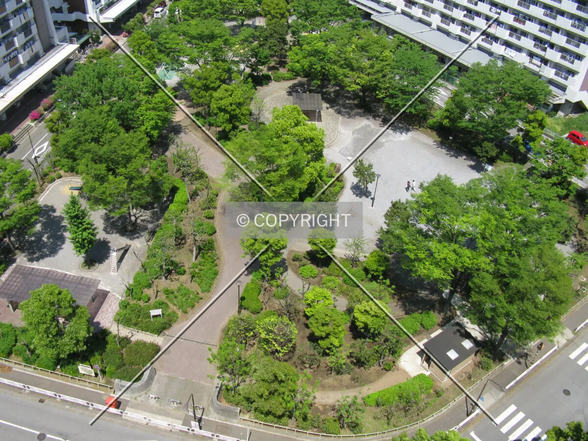 Looking down from the south