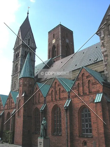 Photo 009-930-242