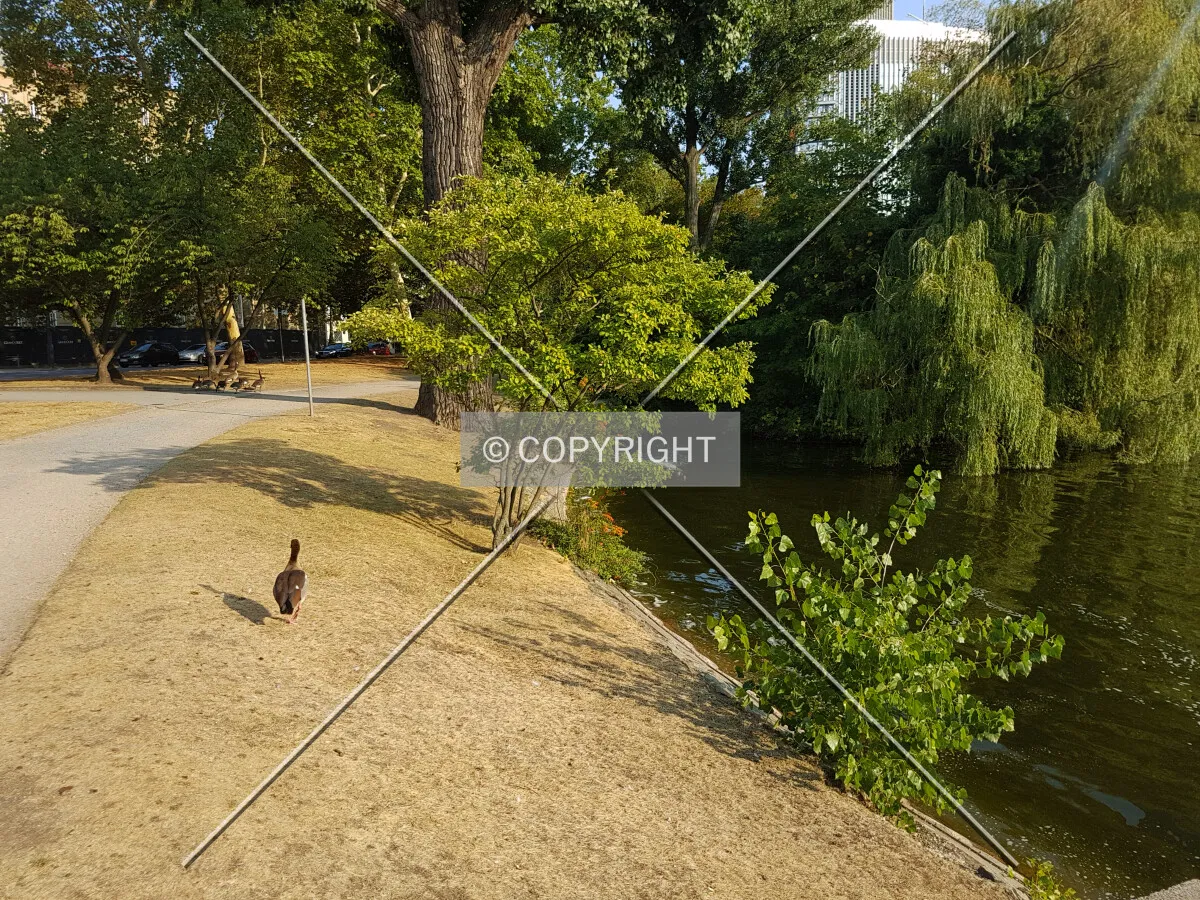 Photo 099-325-256
