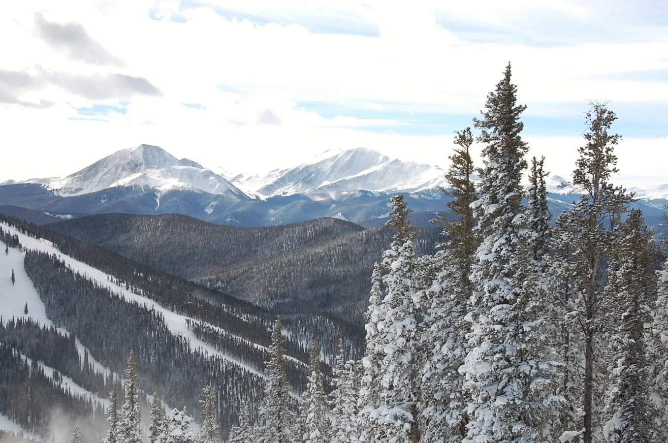 Snow covered trees and mountains