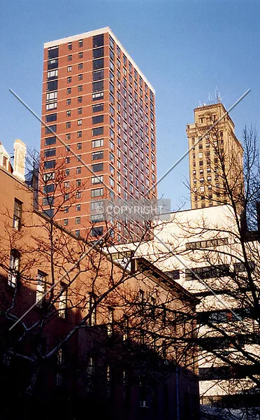 Photo 993-371-945