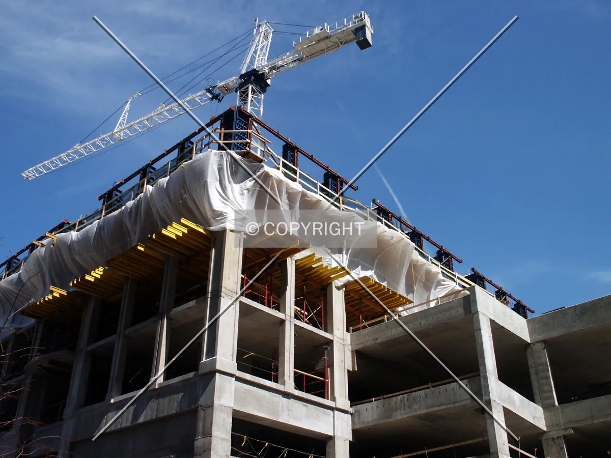 Looking up at the crane