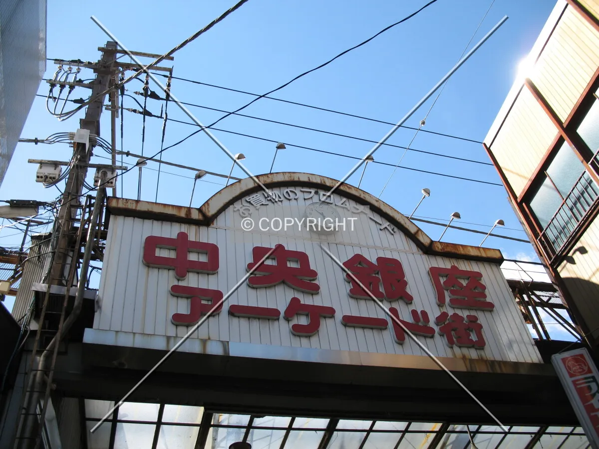 Photo 994-001-221