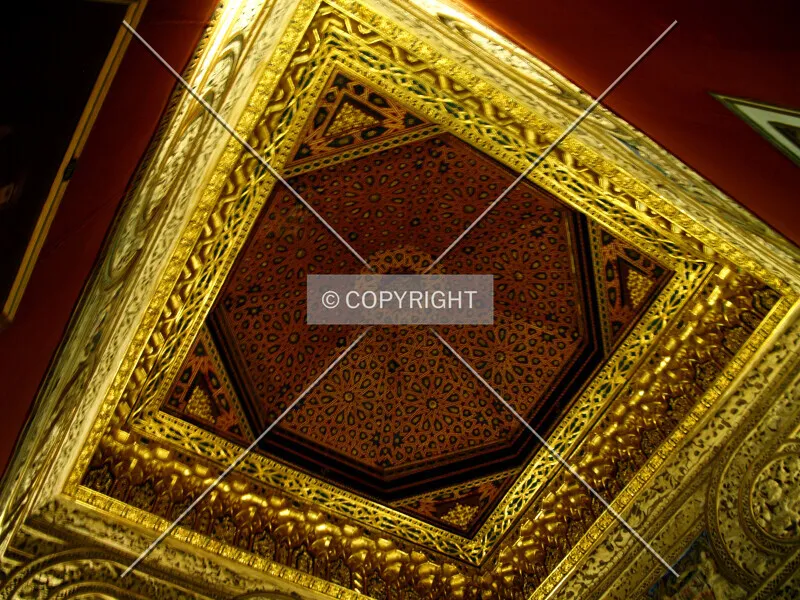 Photo 994-202-710