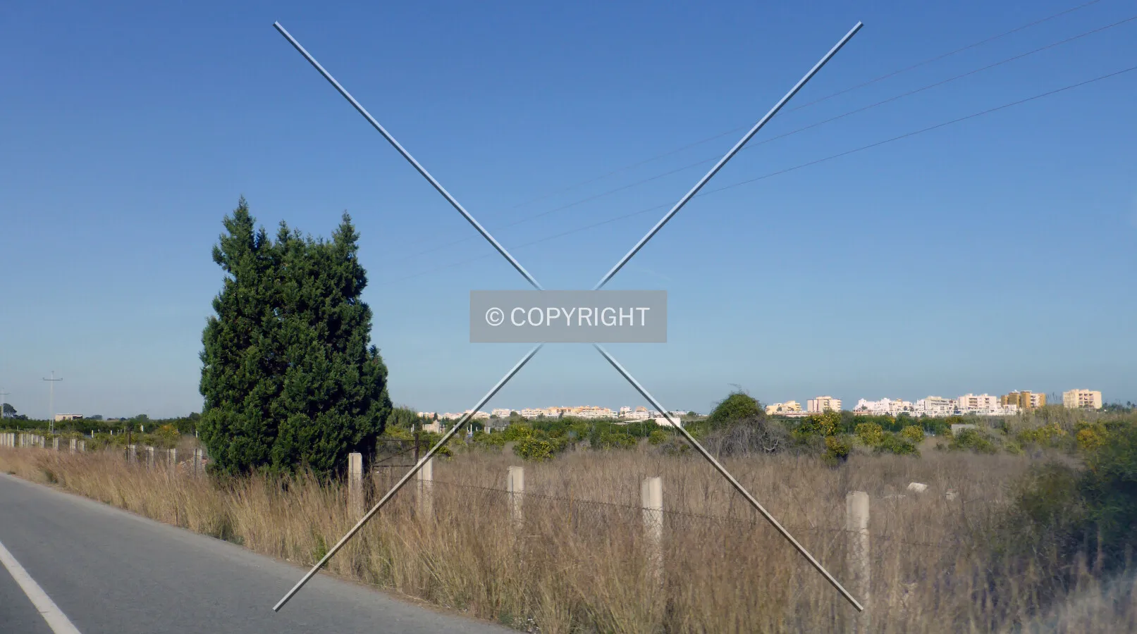 Photo 994-317-417