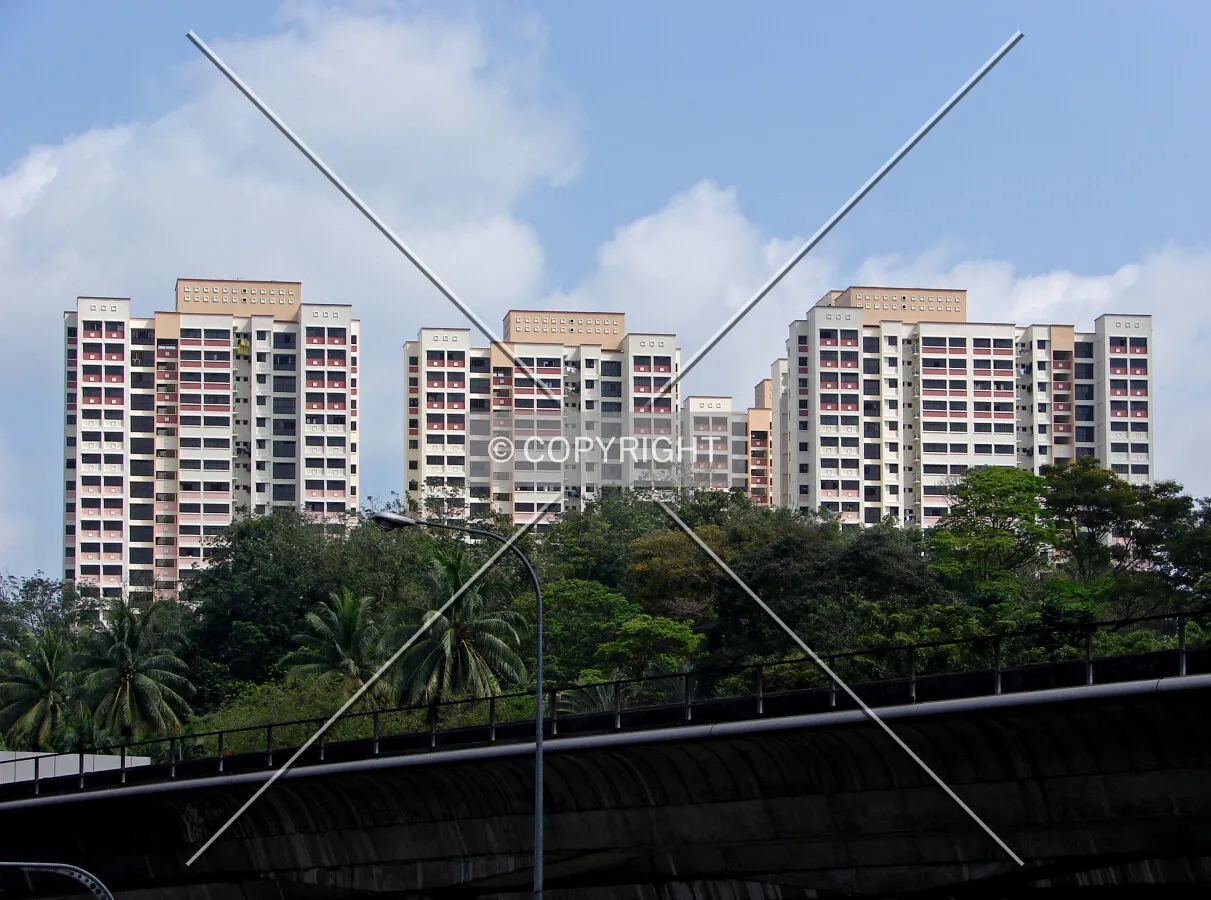 View from the south