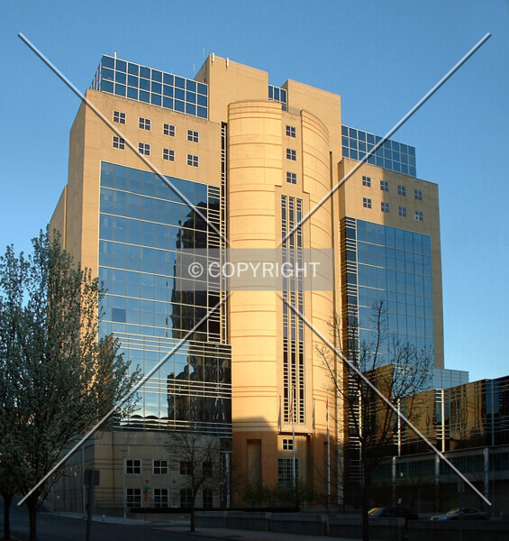 Photo 994-859-133