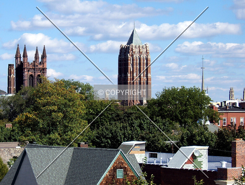 Photo 994-982-303