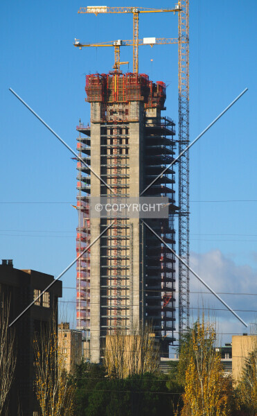 Photo 995-032-781
