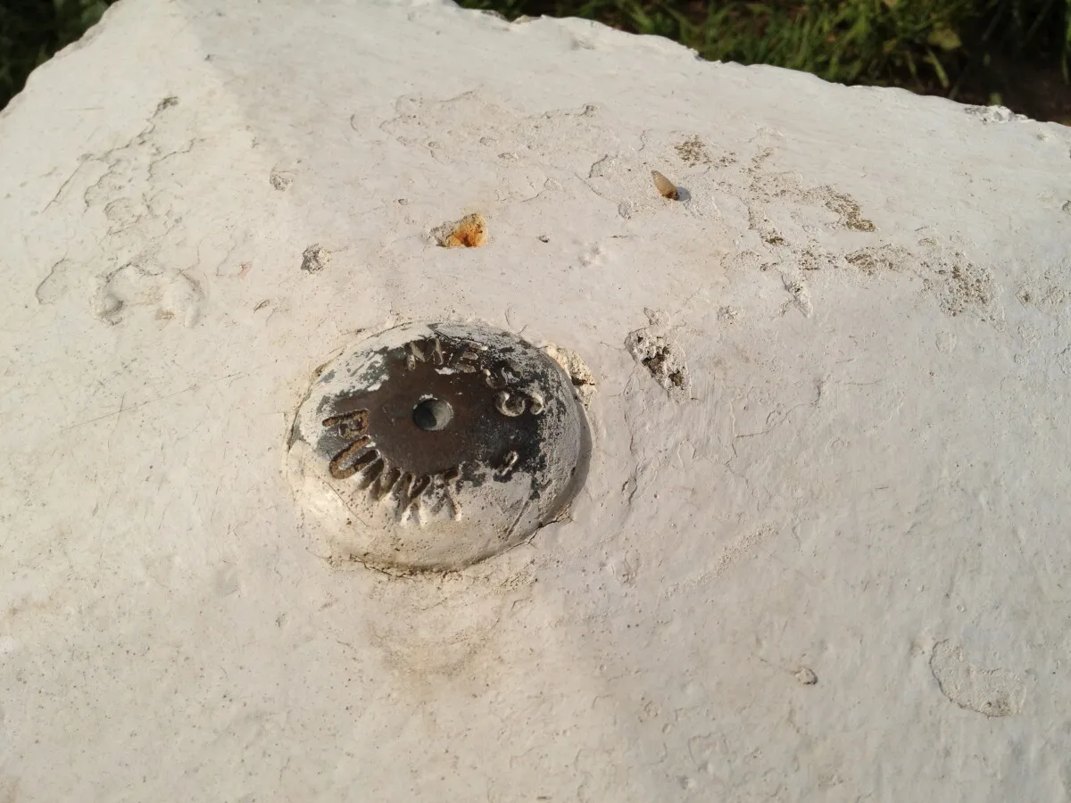 Photo 099-513-711