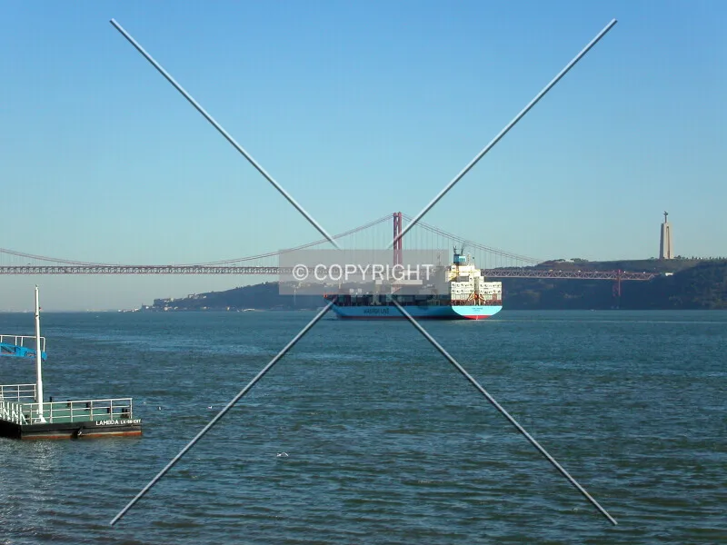 Photo 099-513-724
