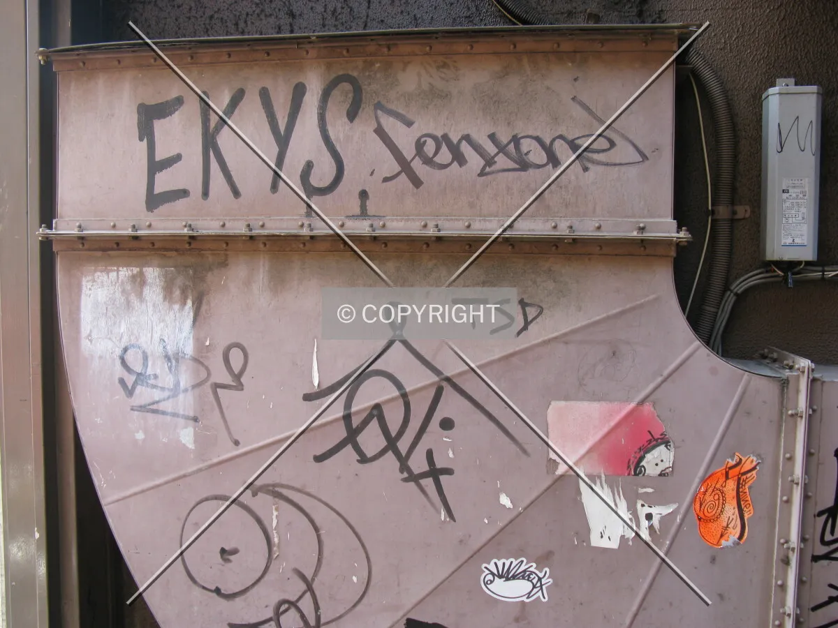 Photo 995-212-679
