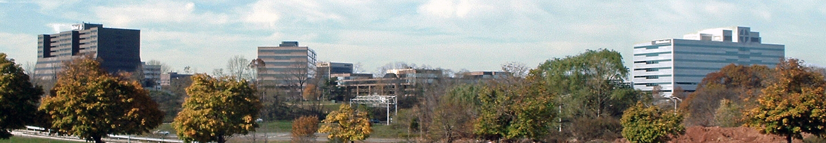 Panorama of Woodbridge Township