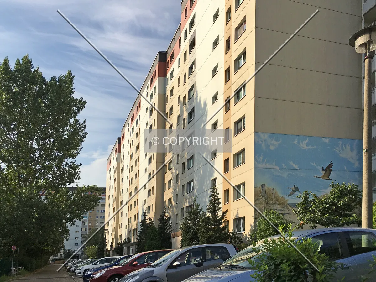 Photo 995-558-699