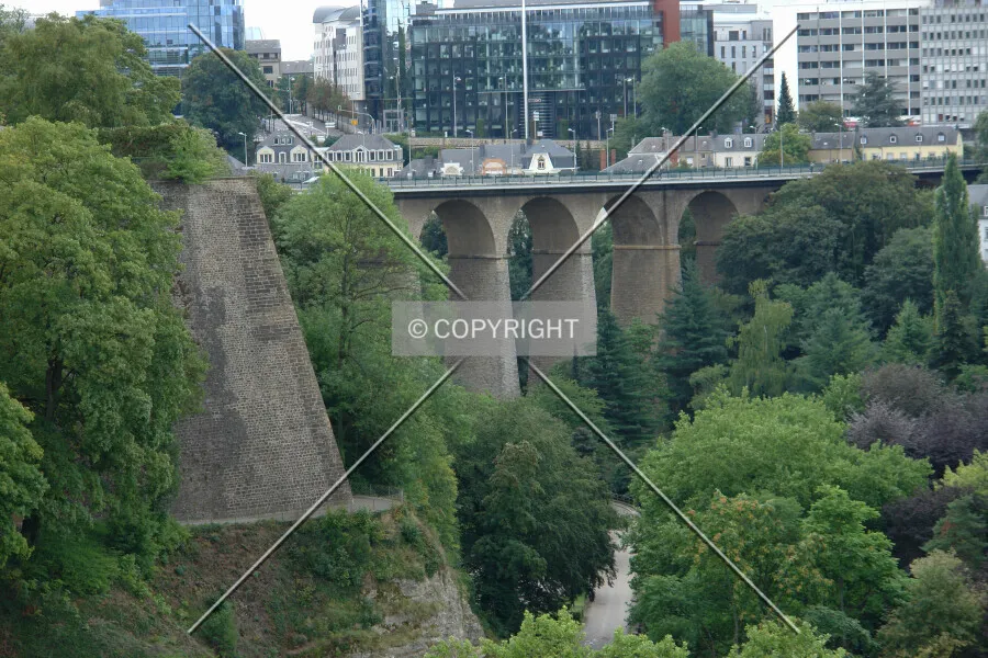 Photo 995-687-327