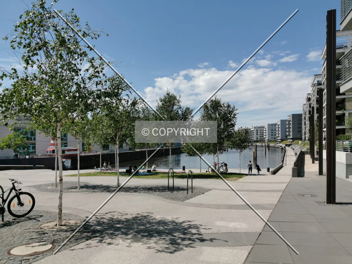 Photo 995-832-955