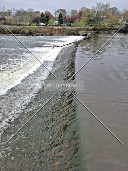 Photo 995-910-983