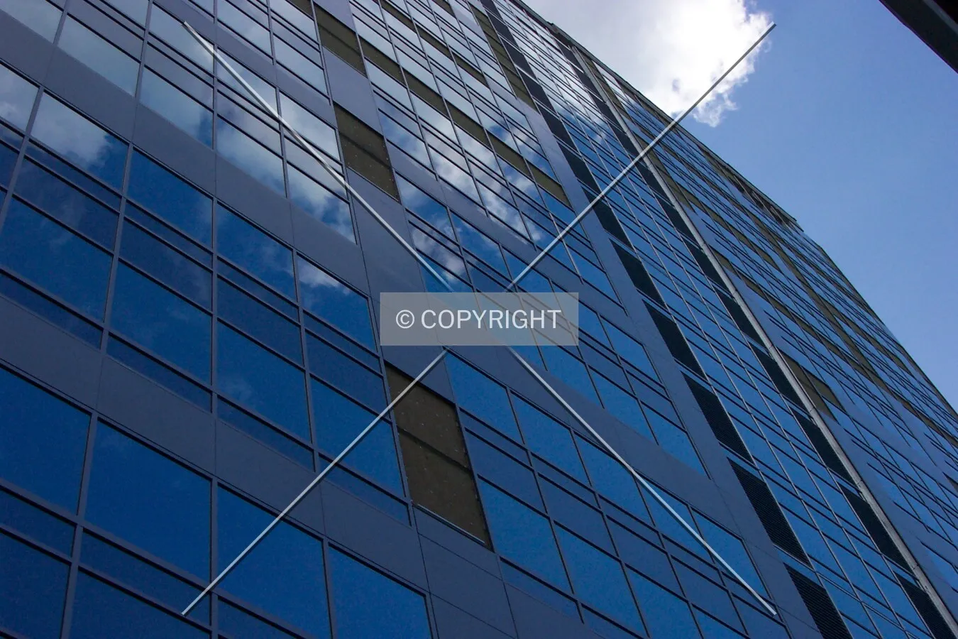 Looking up the east facade from the neighbouring alley