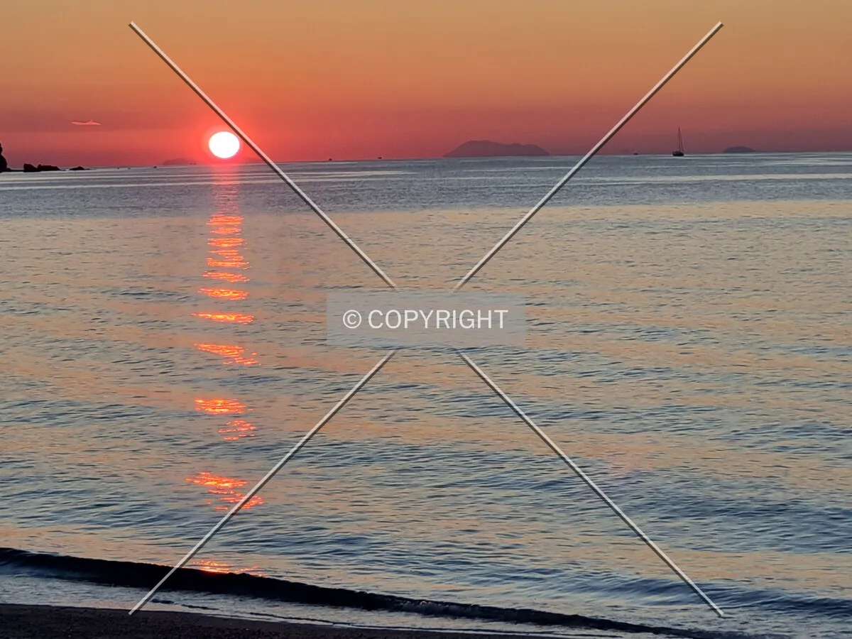 Photo 997-662-887
