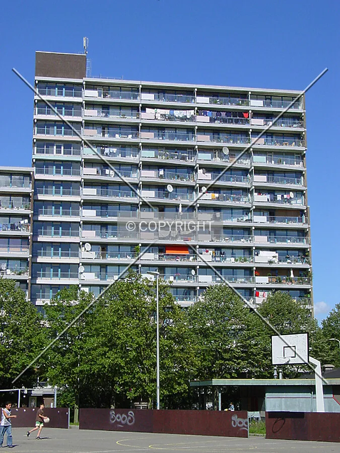 View from the south