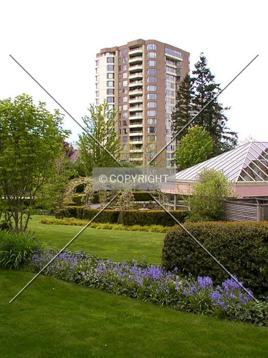 View from Olive Avenue