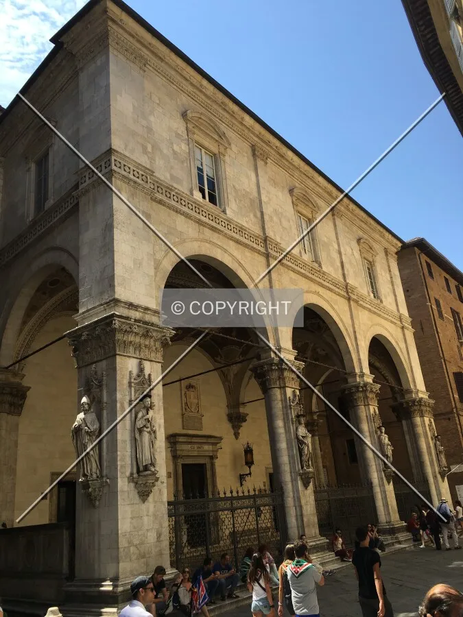 Photo 099-804-769