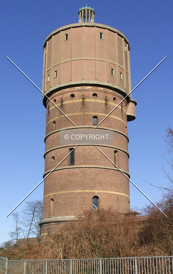 Looking up from Hoog en Droog