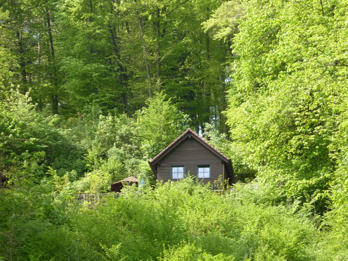 Photo 998-820-631