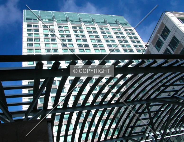 Photo 998-869-869