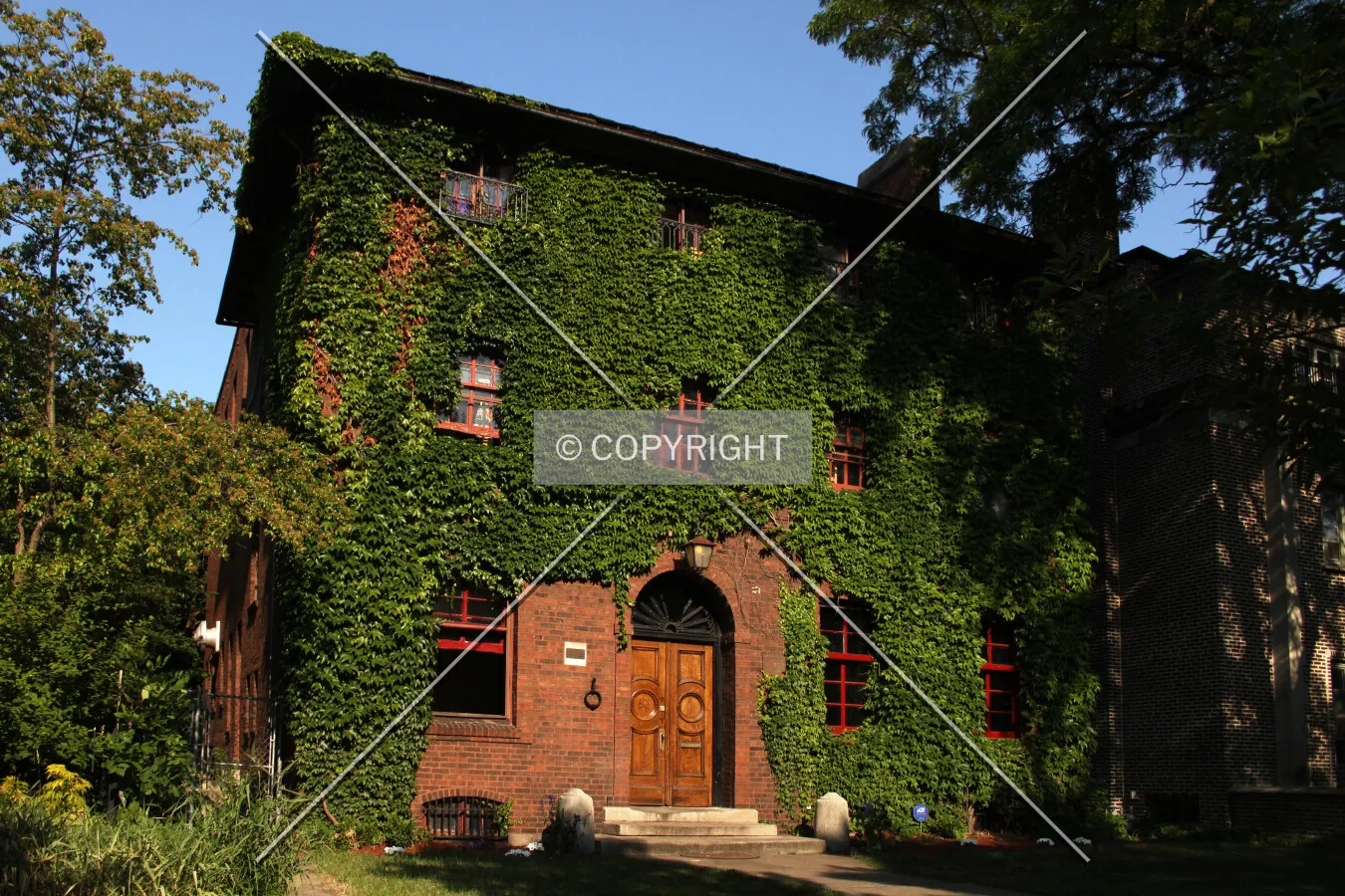 Photo 998-918-094