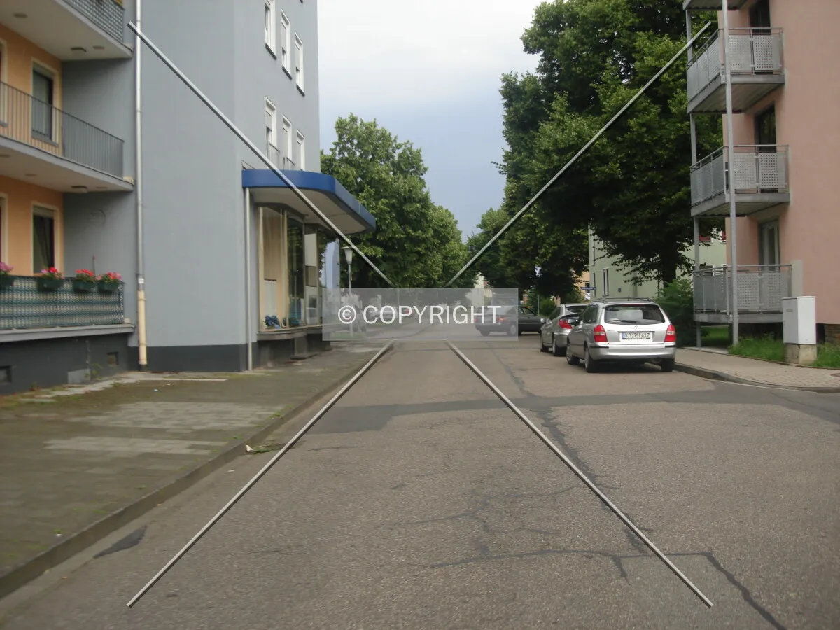 Photo 998-922-733