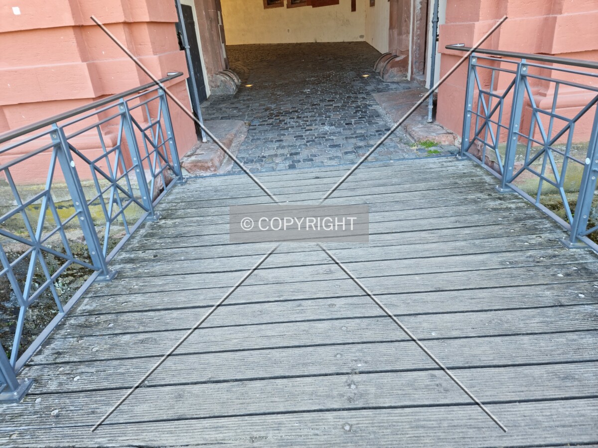 Photo 999-761-202