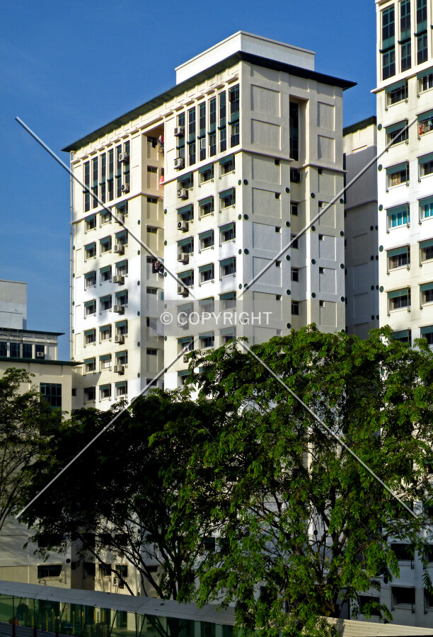 View from the northeast