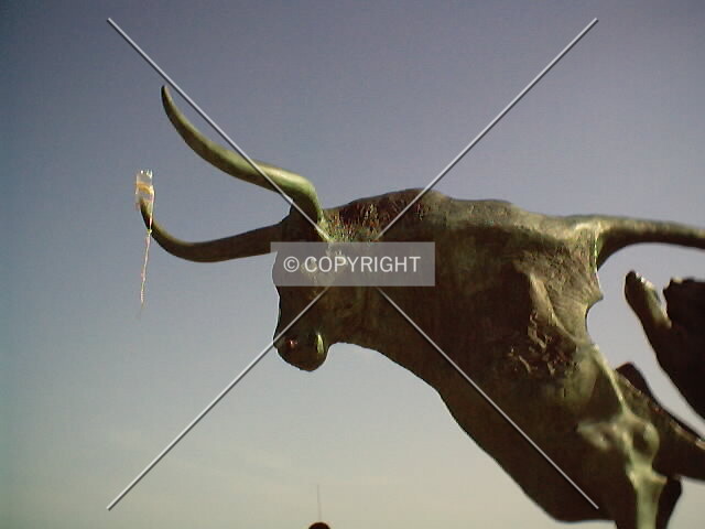 Photo 999-820-671