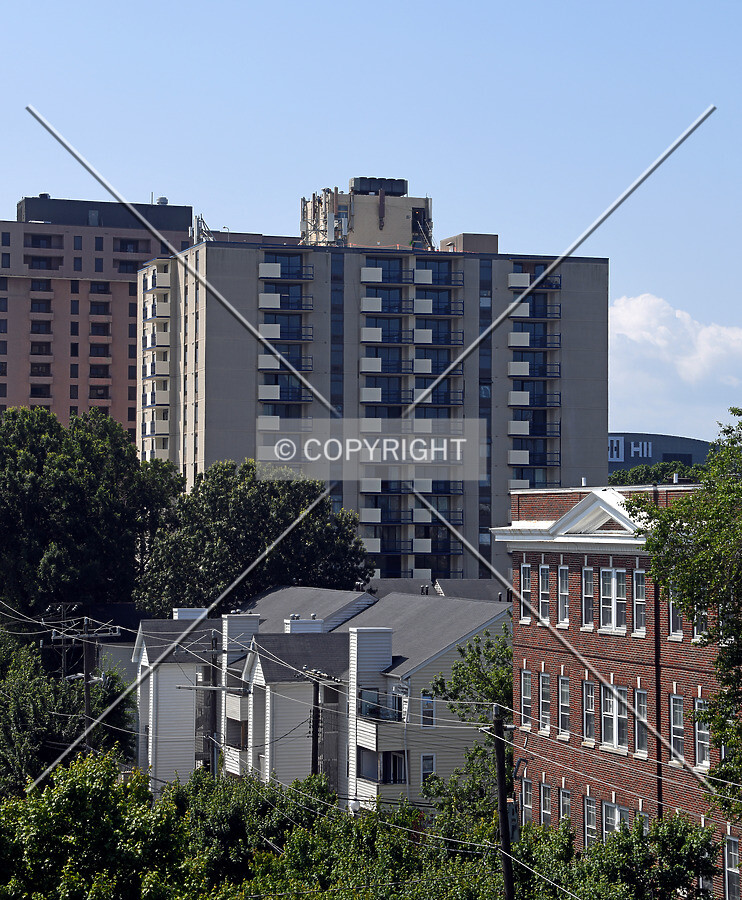 View from the north