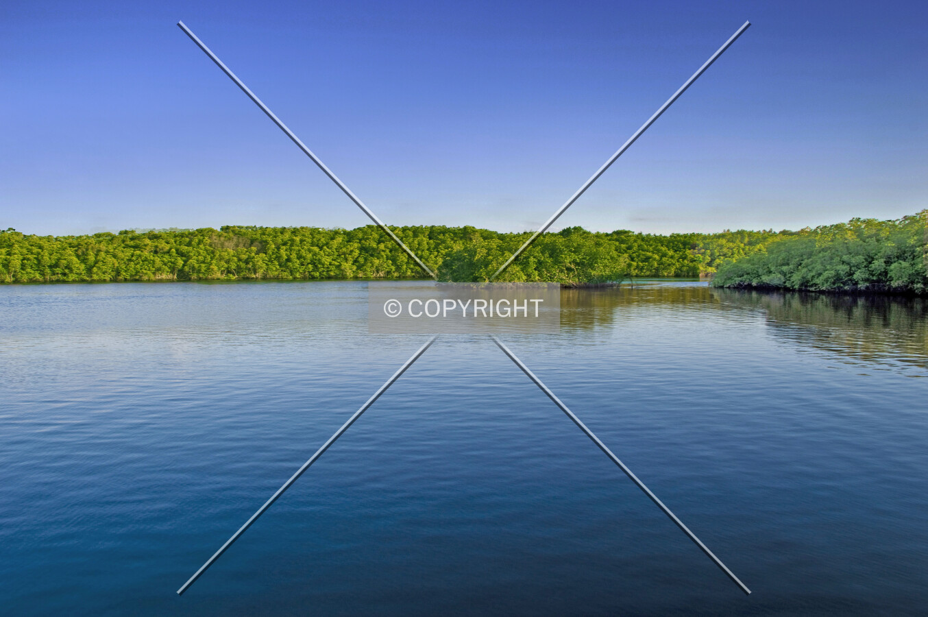 Loxahatchee River, Hobe Sound, Florida, U.S.A.