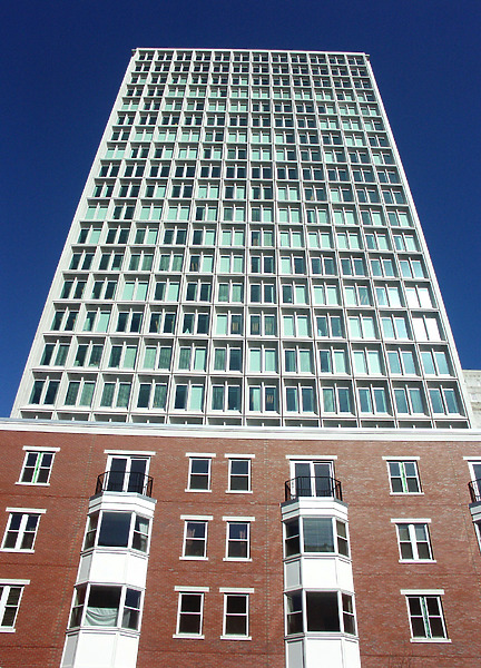 241-204-338