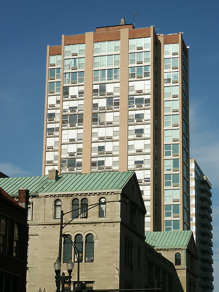 The Bryn