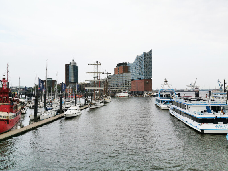 310-010-704
