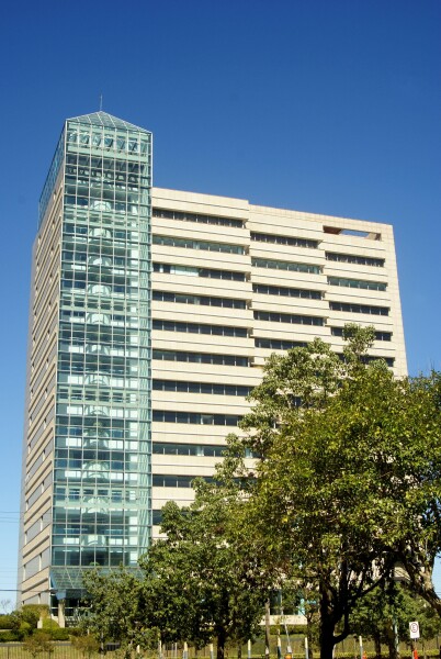 Grupo Ipiranga