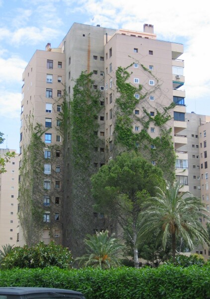Playamar II - Torre 11
